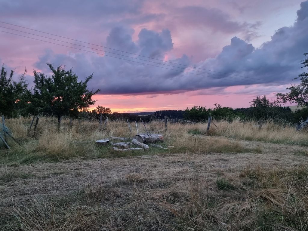 Pradera tranquila en el hermoso Hunsrück