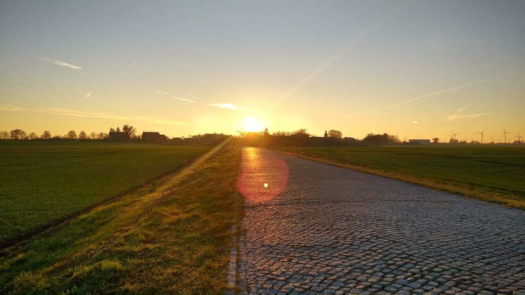 The Eckhof - meadow idyll near Berlin u. Wittenberg
