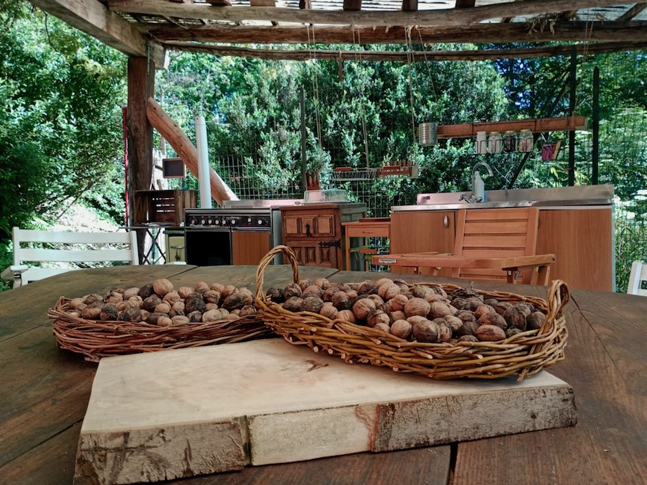 Glamping nel bosco in Val Pellice con vista natura