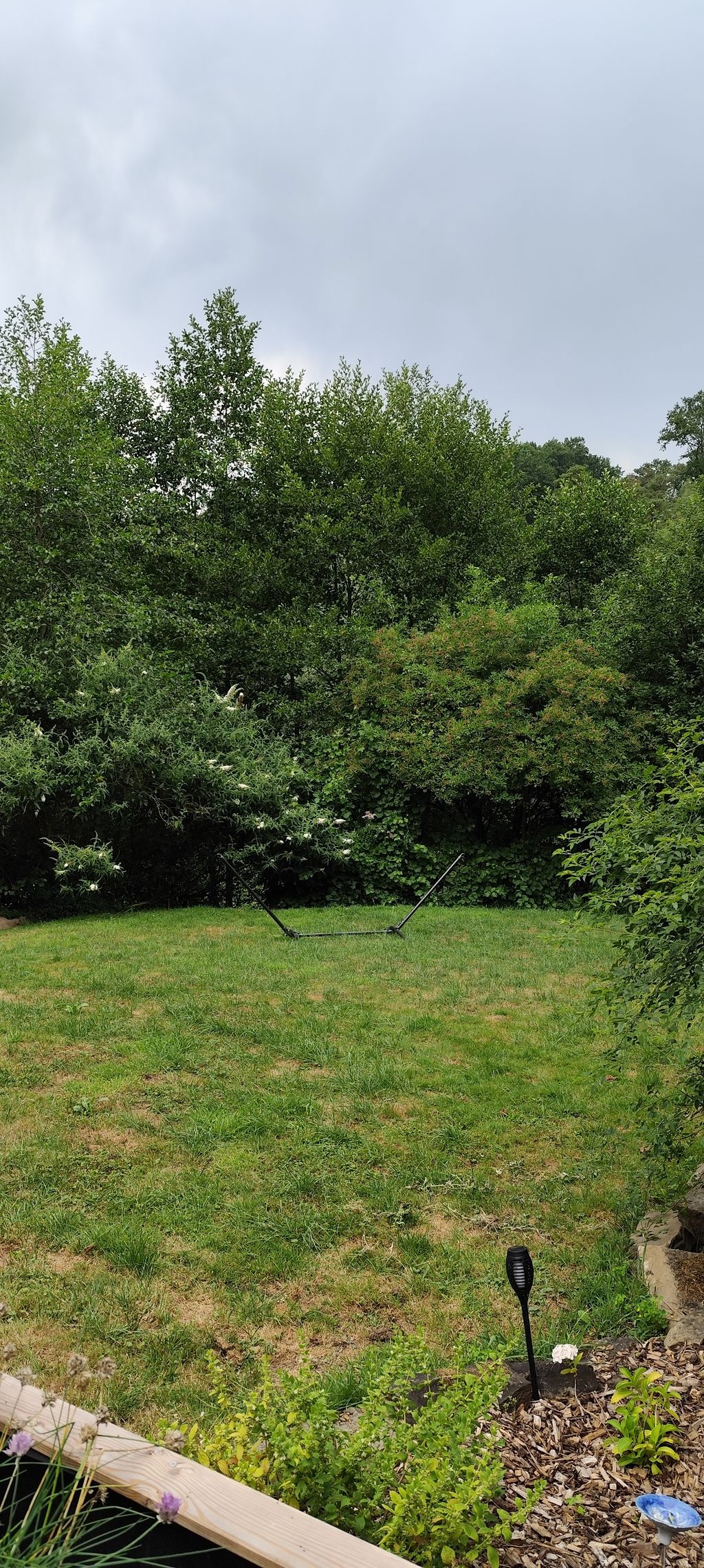 Unser Garten