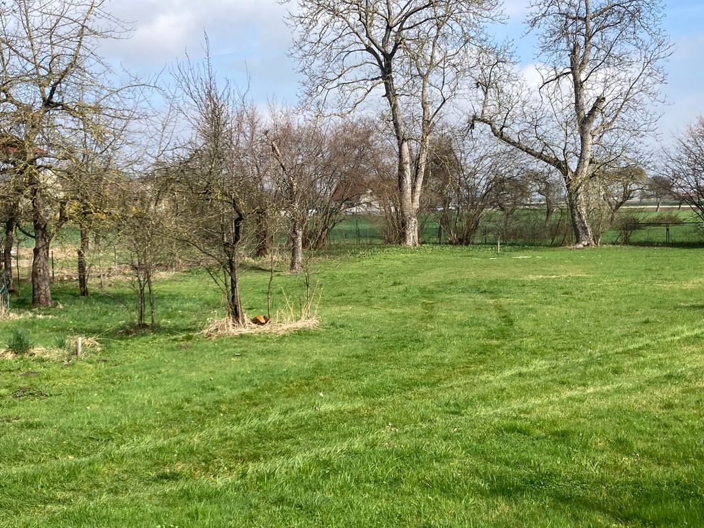 Antigua granja de ovejas