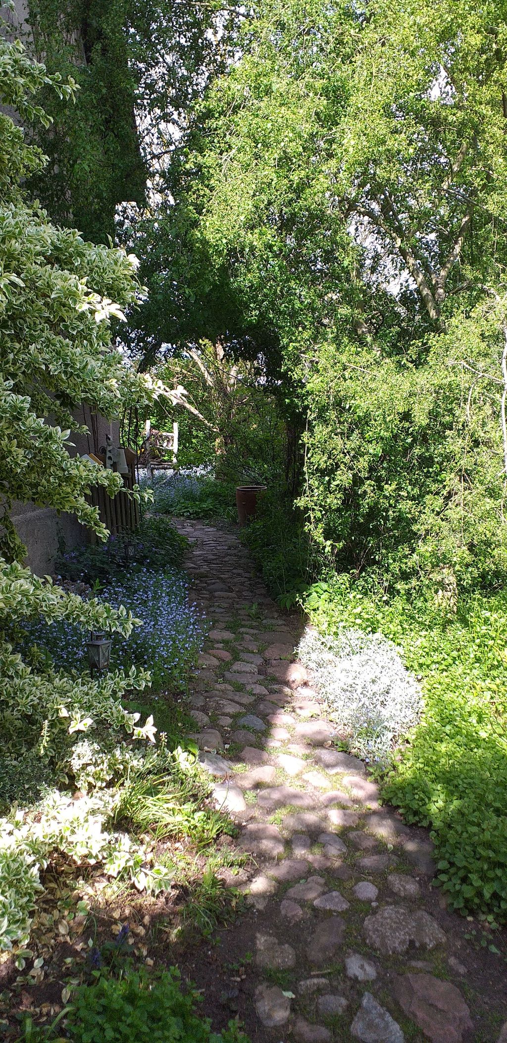 A place in the green on the Oder-Neisse cycle path