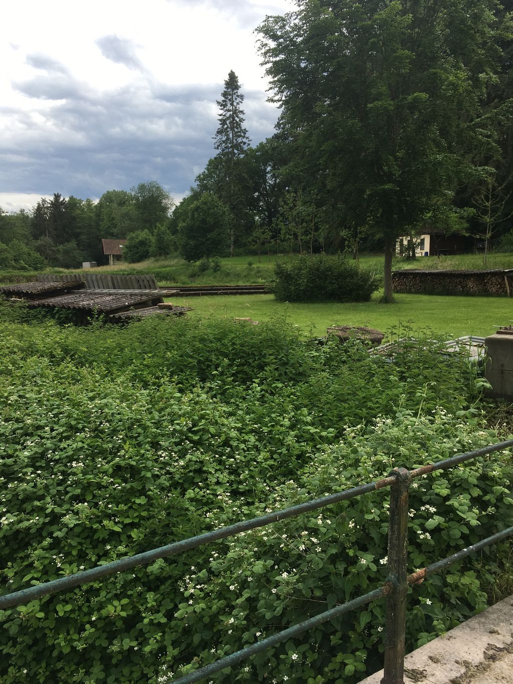 Zelten am Waldrand im Marienthal