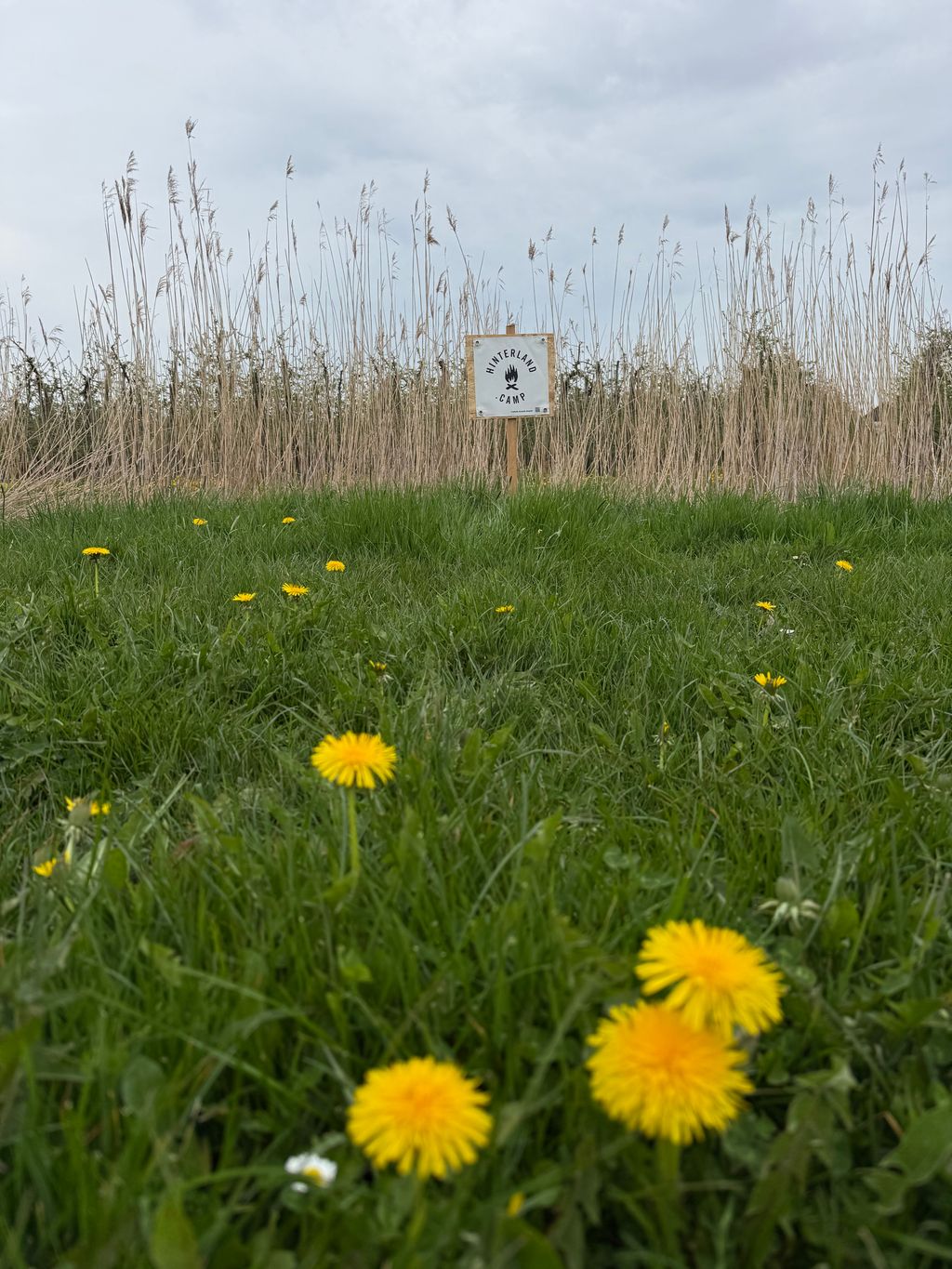 Posizione idilliaca nell'Altes Land sulla spiaggia dell'Elba