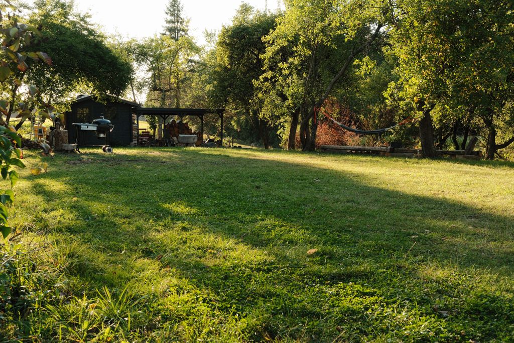Camping isolé au milieu des arbres fruitiers