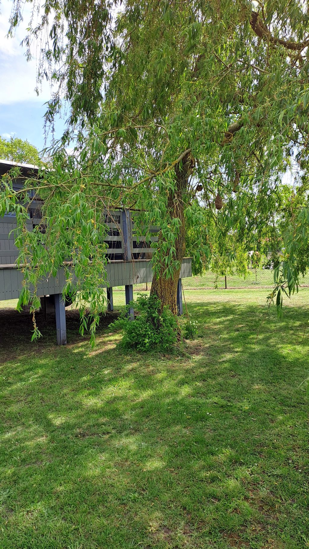 Tiny House, Alpakas & Natur – Auszeit pur