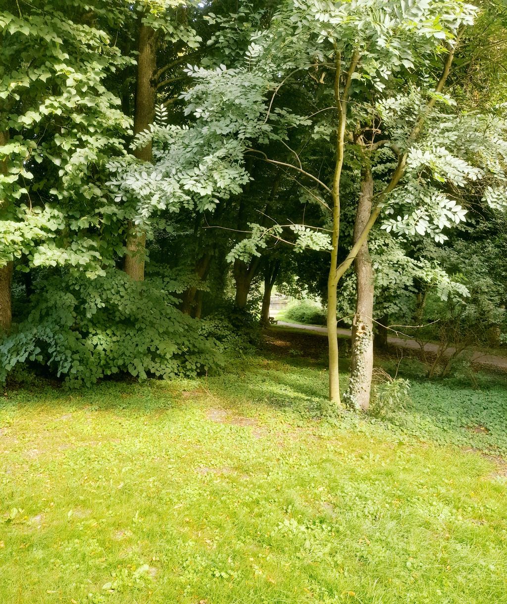 Pitch in the garden at the park in East Frisia