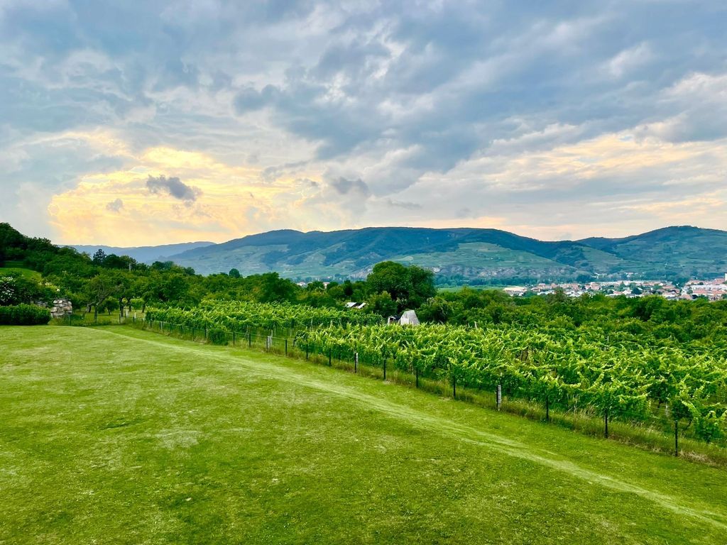 Spacious place with views over the vineyards