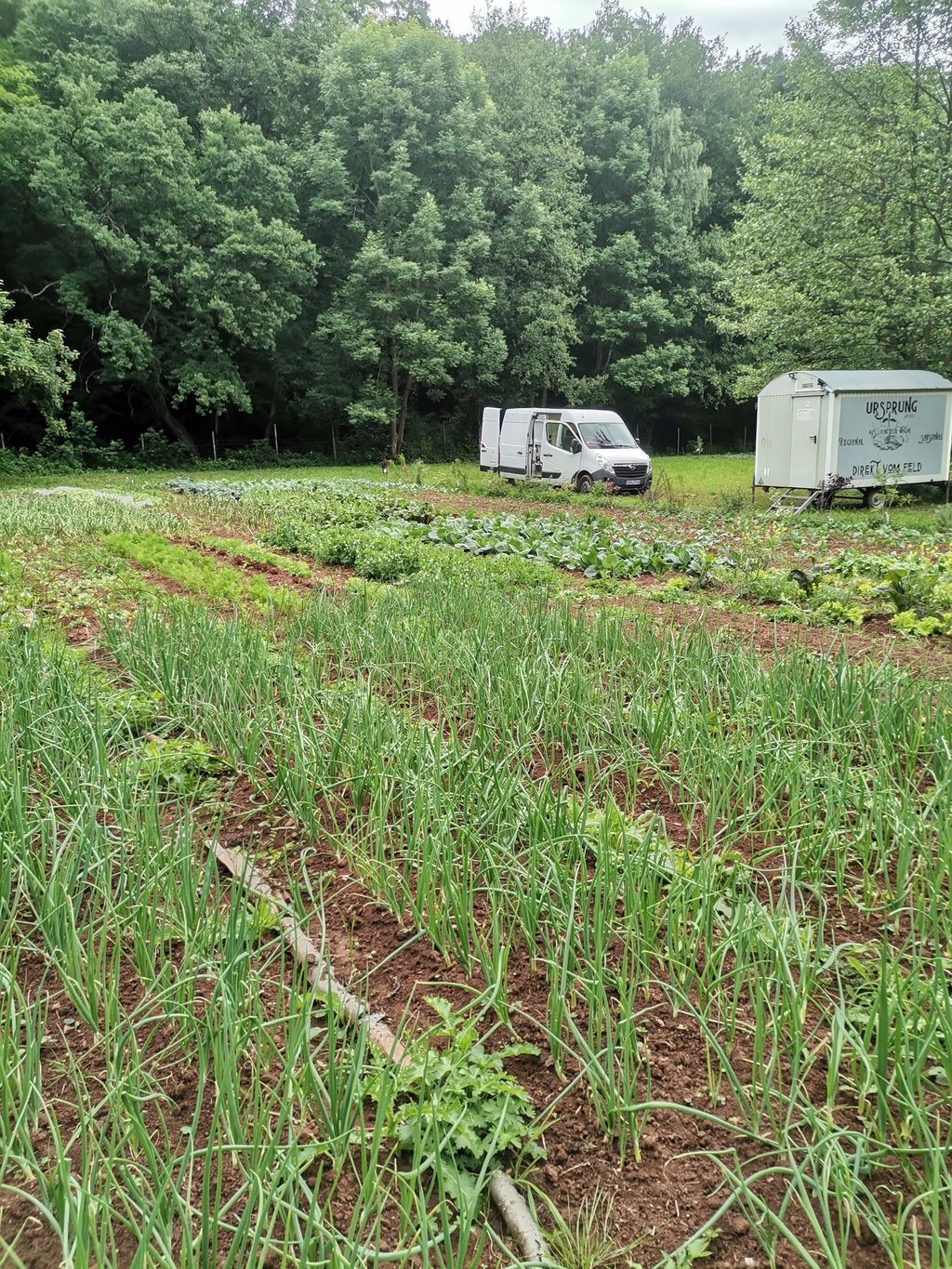 Kleine Auszeit zwischen Bio-Gemüse und SlowFlowers