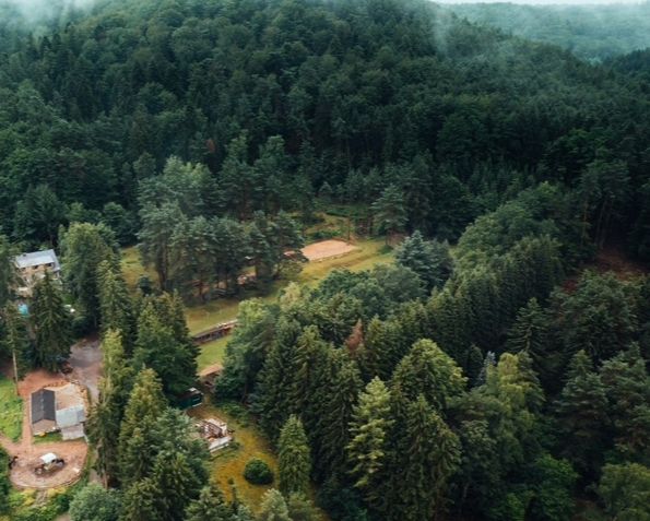 Au cœur de la forêt du Palatinat