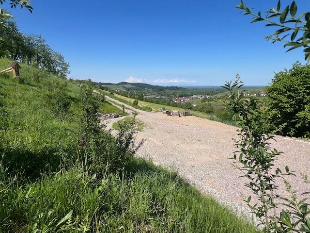 Emplacement panoramique avec vue sur la vallée du Rhin/les Vosges
