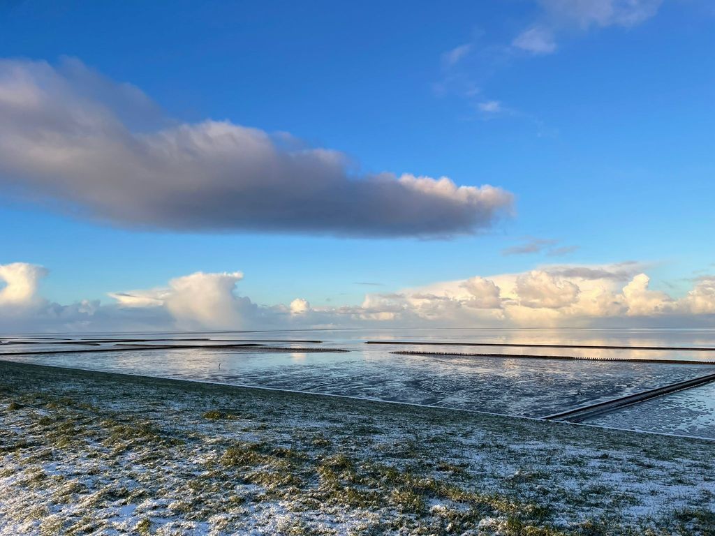 Farm campsite directly on the North Sea dike