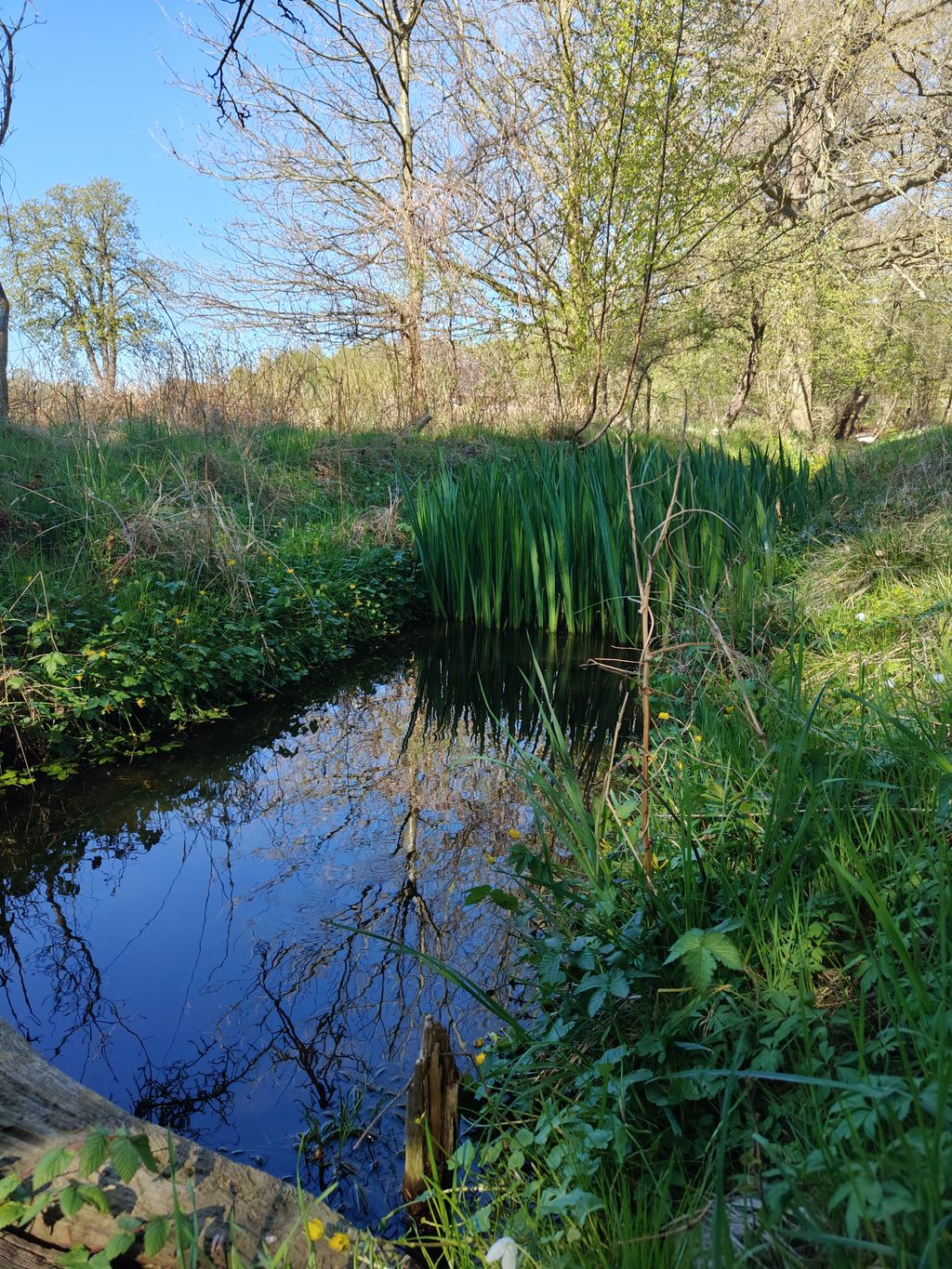 Ancienne remise : belle ferme isolée avec 3 000 m² de terrain naturel