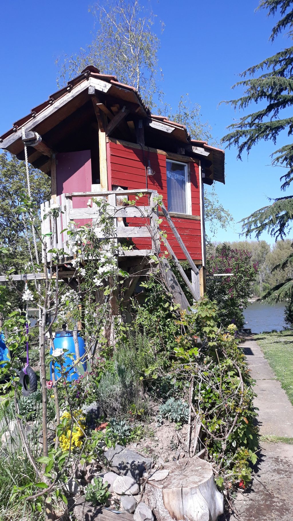 Charming tree house with a view of the Rhine