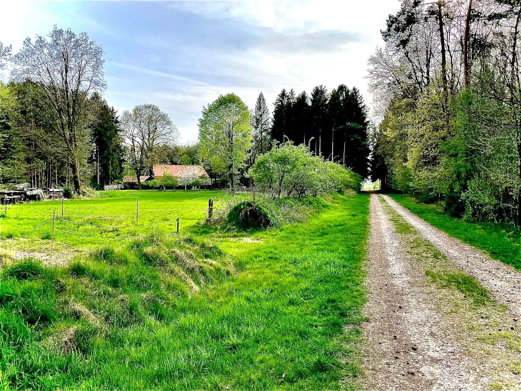 Geheimtipp: Idyllischer Stellplatz im Grünen