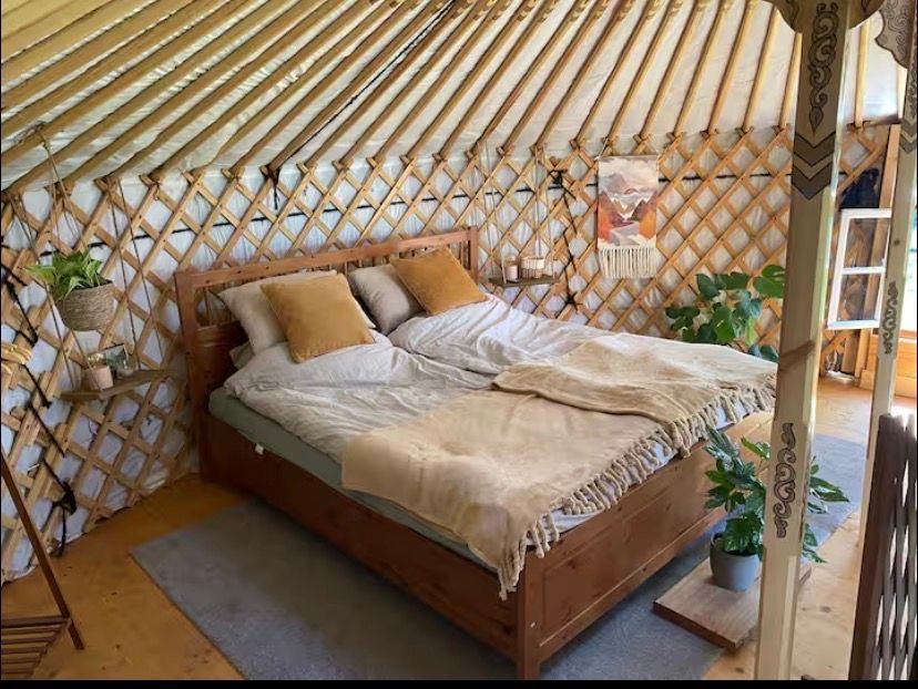 Yurta mongola in giardino 