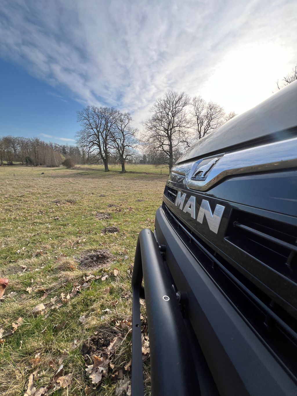 For purists – a nature experience among horses and cattle 