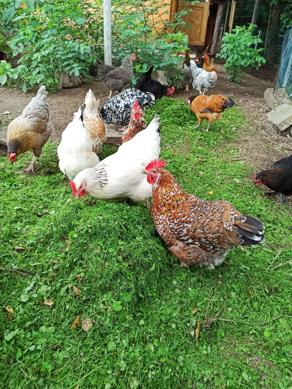 Une ferme idyllique dans un vieux manoir