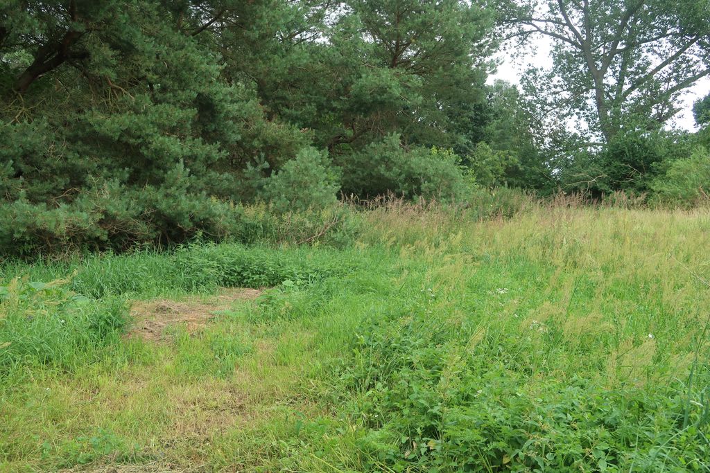 Piazzola privata - campeggio alle porte di Usedom