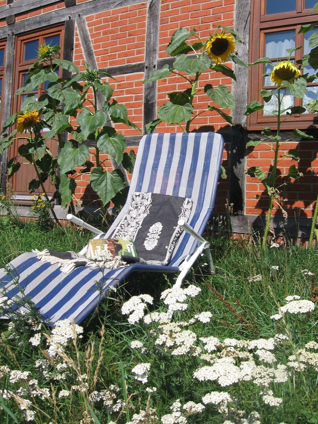 Campen und Reiten auf idyllischem Reiterhof