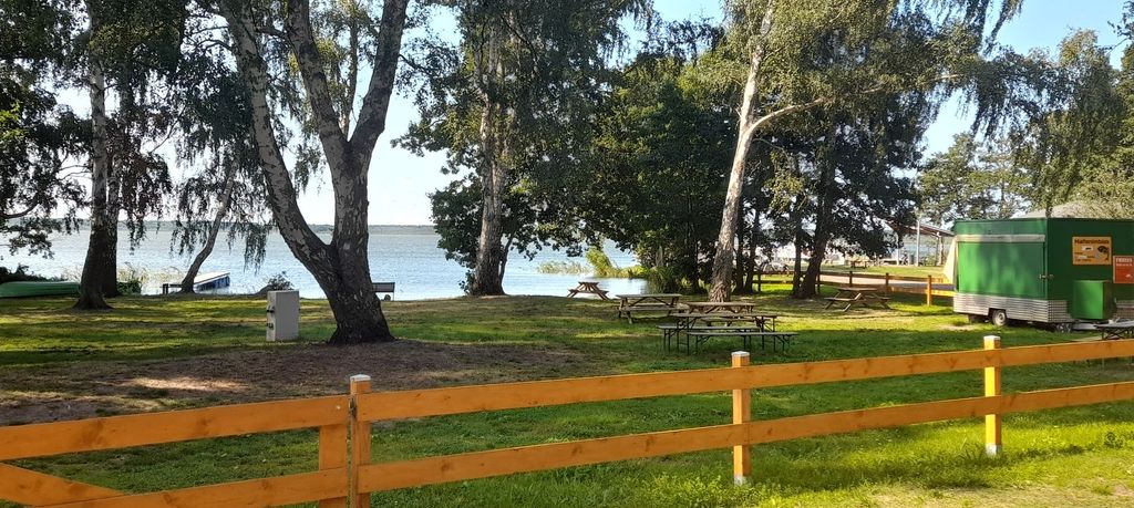 Pitch at the harbor