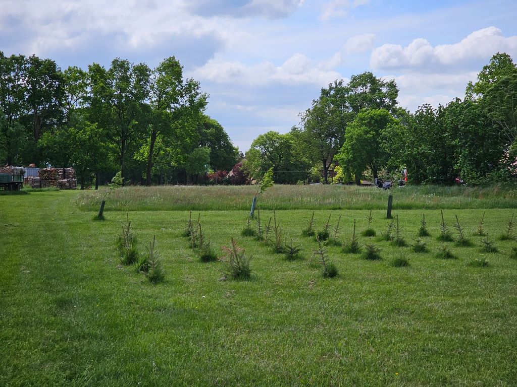 Camping rustique dans les prés avec une vue verdoyante