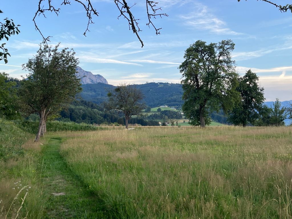 Ein Plätzchen im Baumgarten Eden 🌳