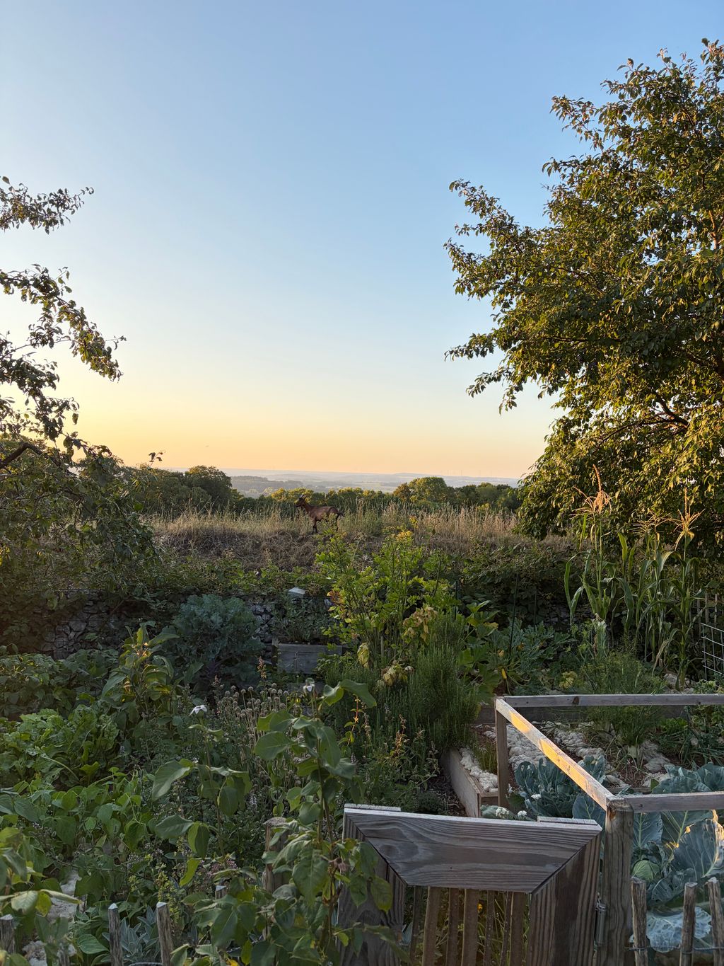 Campeggio immerso nel verde con vista panoramica