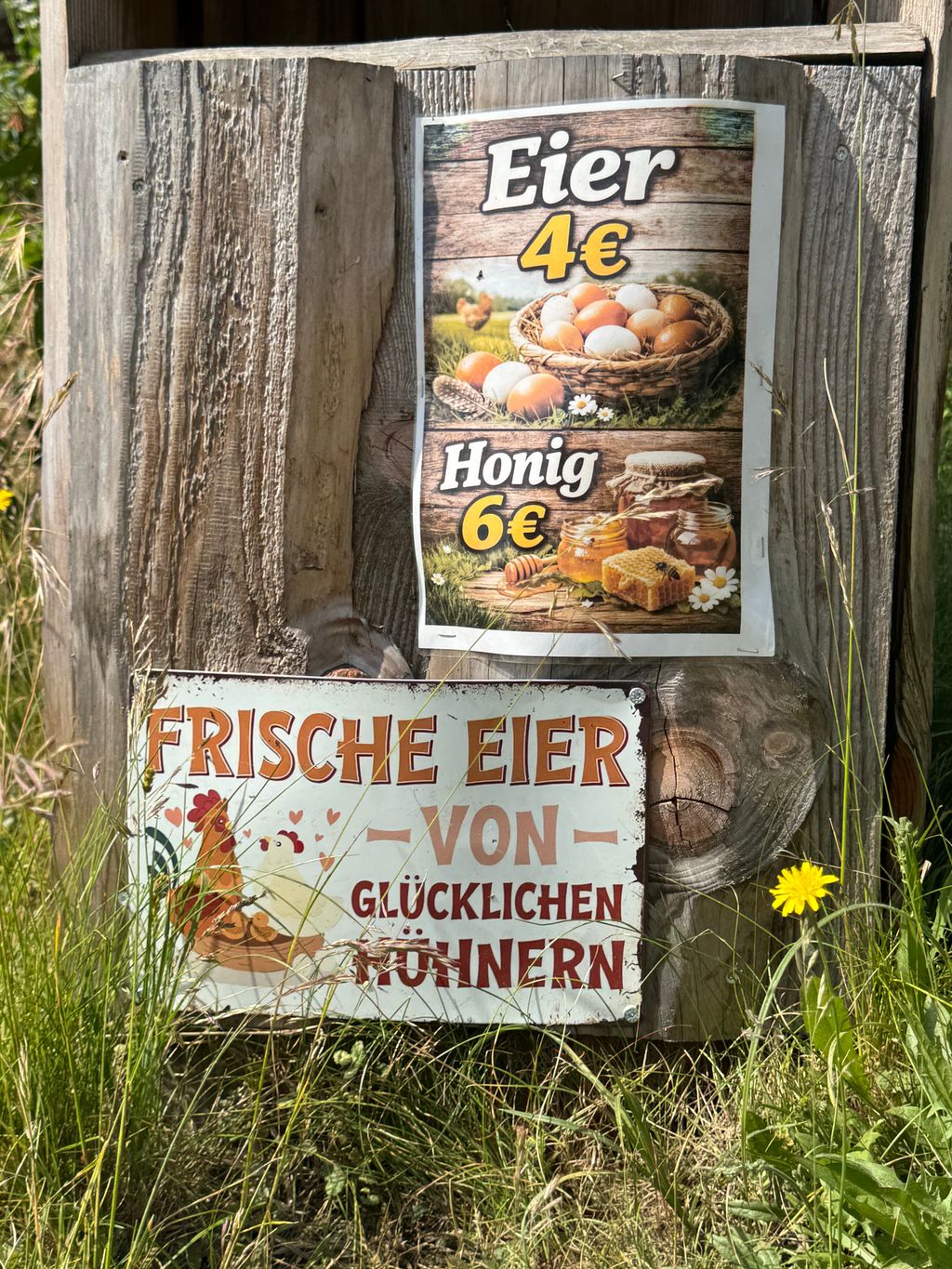  Familienfreundliche Hofwiese mit Tieren 