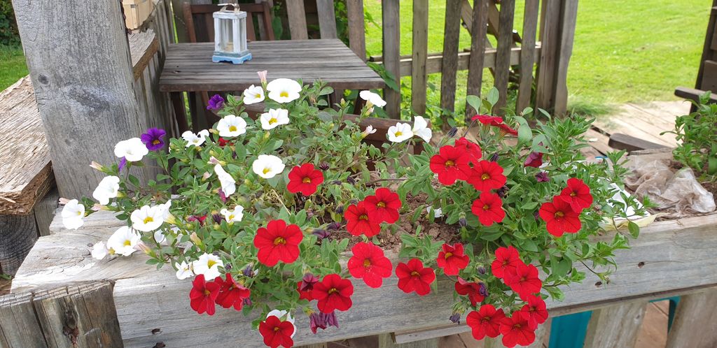 Garden idyll - Enjoy the peace and quiet in beautiful Hesse