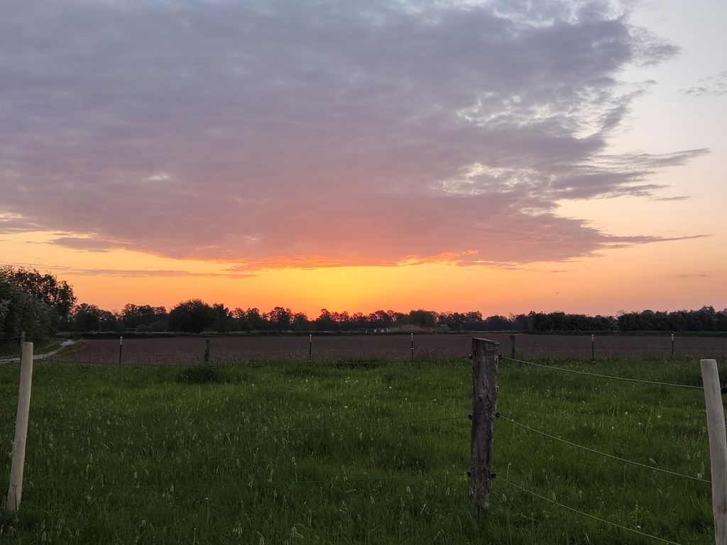 Camping on the Weser - hawthorn and pasture happiness