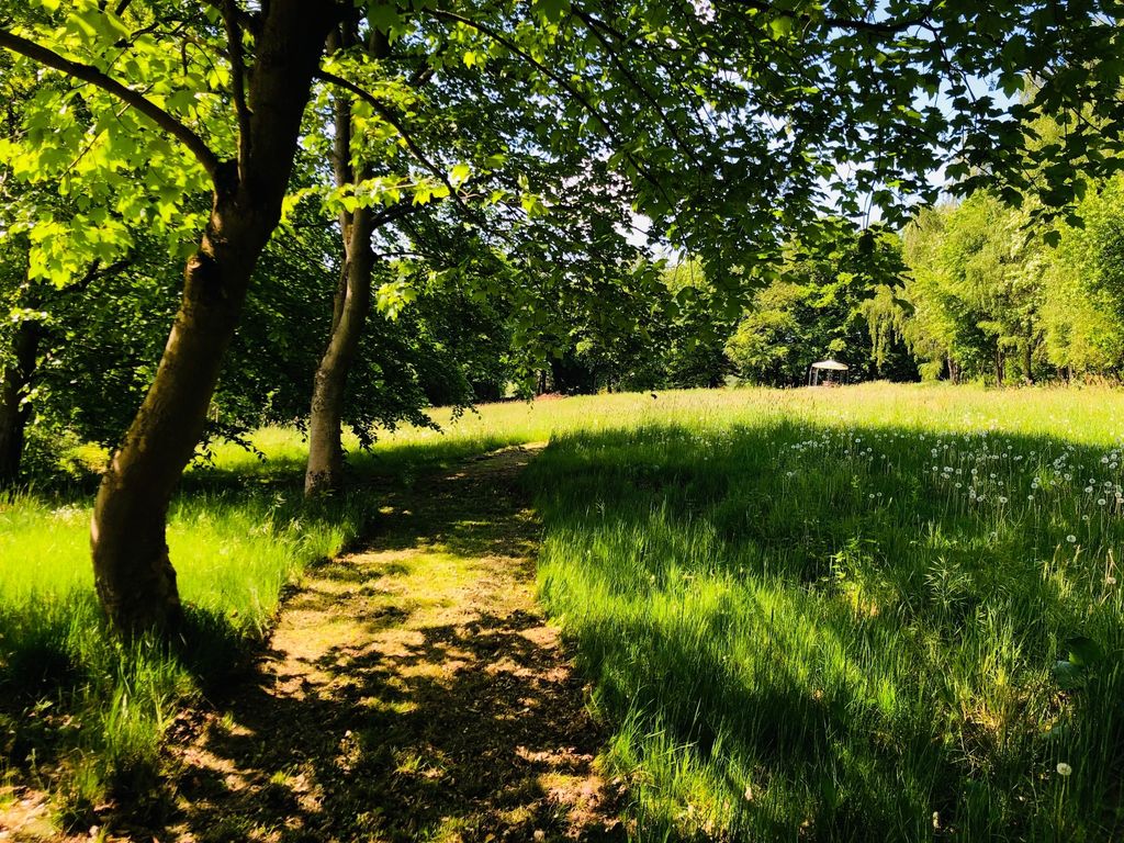 Schweben im Hängezelt im Buchengrün