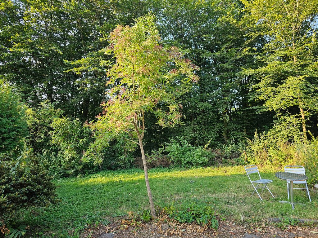 Ruhiger Platz am Haus mit Blick in den Wald