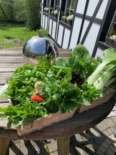 Auszeit im Bergischen Land