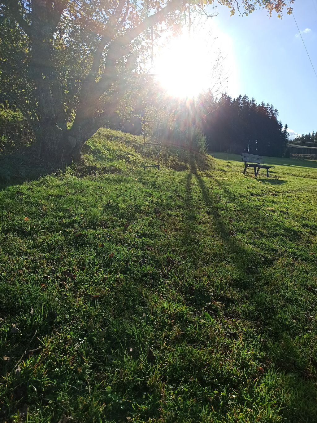 Accommodation in the Black Forest between forest & meadow
