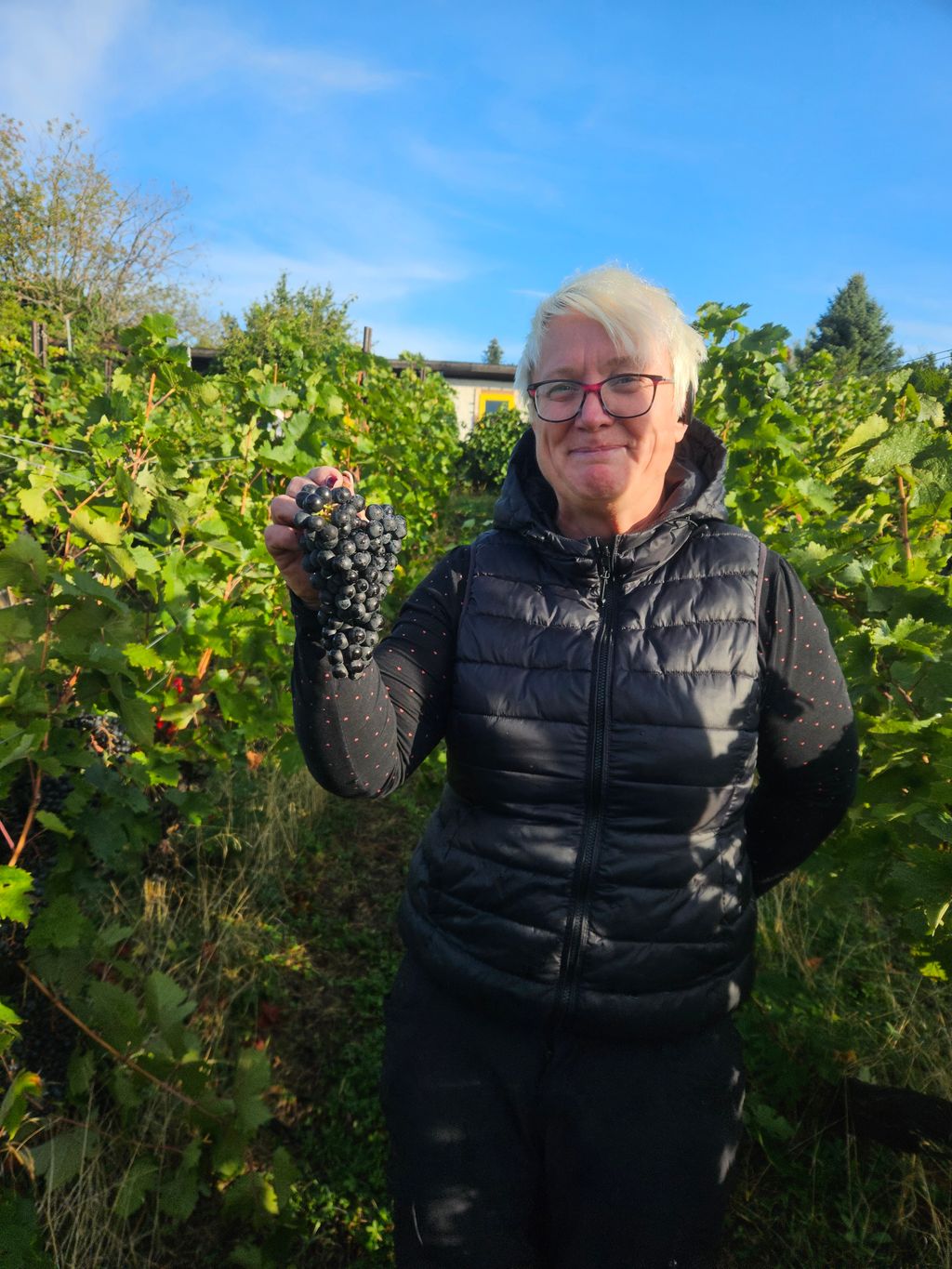 Camping en la bodega del valle del Elster