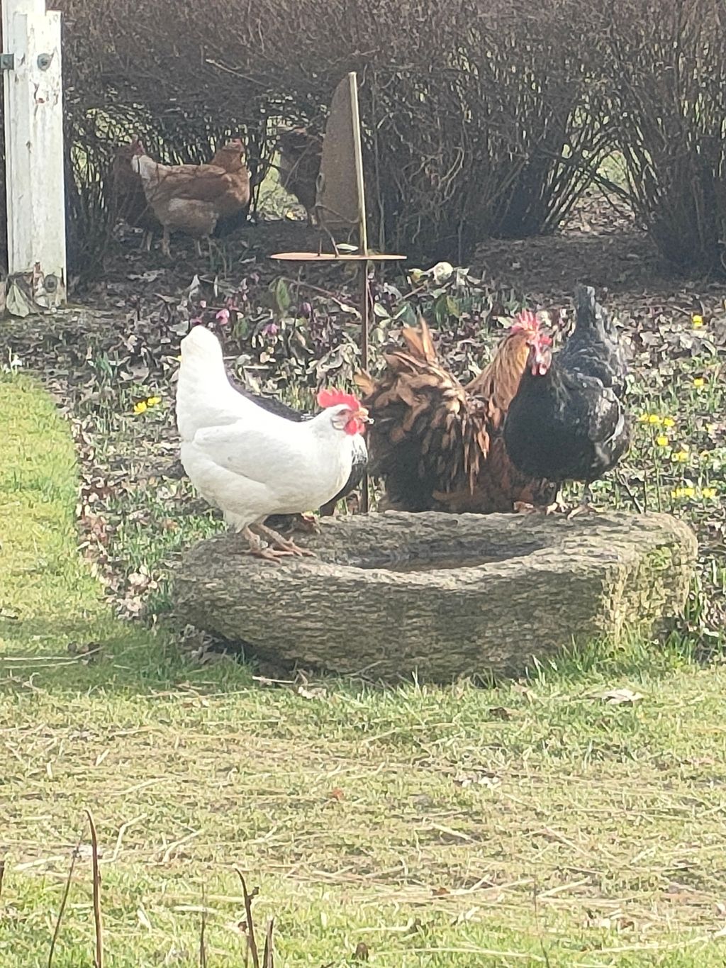 Natur, Kunst und Gemüse - Nahe Mariagerfjord