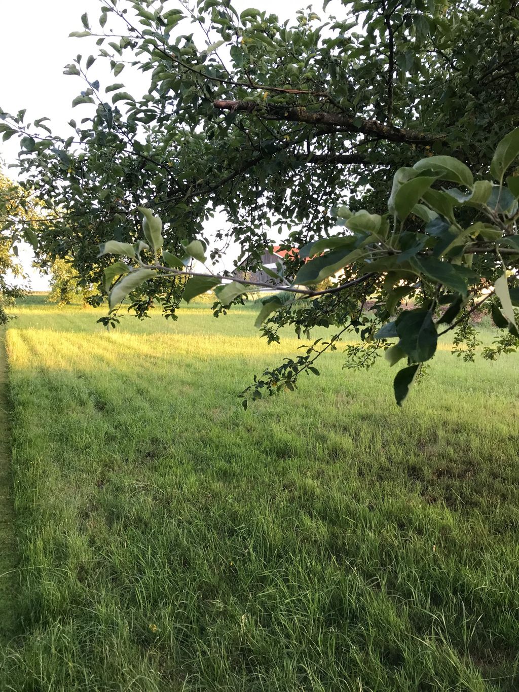 Overnight stay in the Altmühltal Nature Park