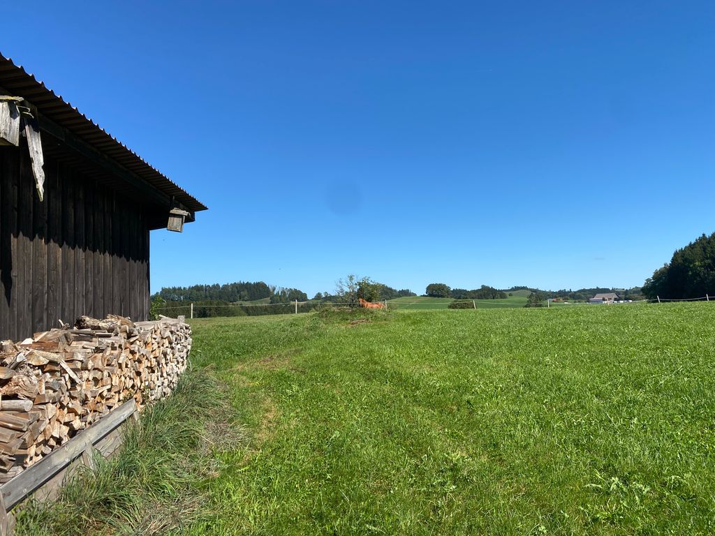 Piazzola in fattoria con vista sulle montagne