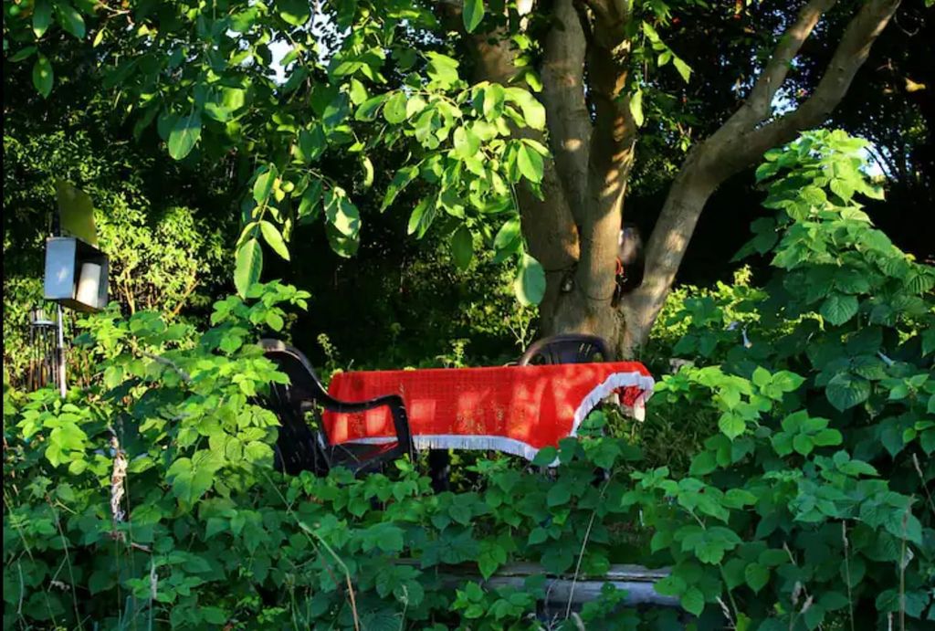 Einmalige Natur genießen im Jasmund