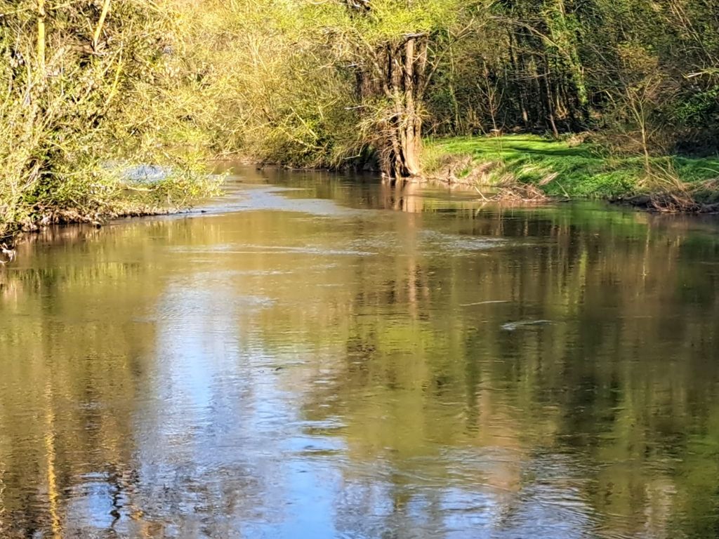 Sous les noyers, directement au bord de l'Unstrut