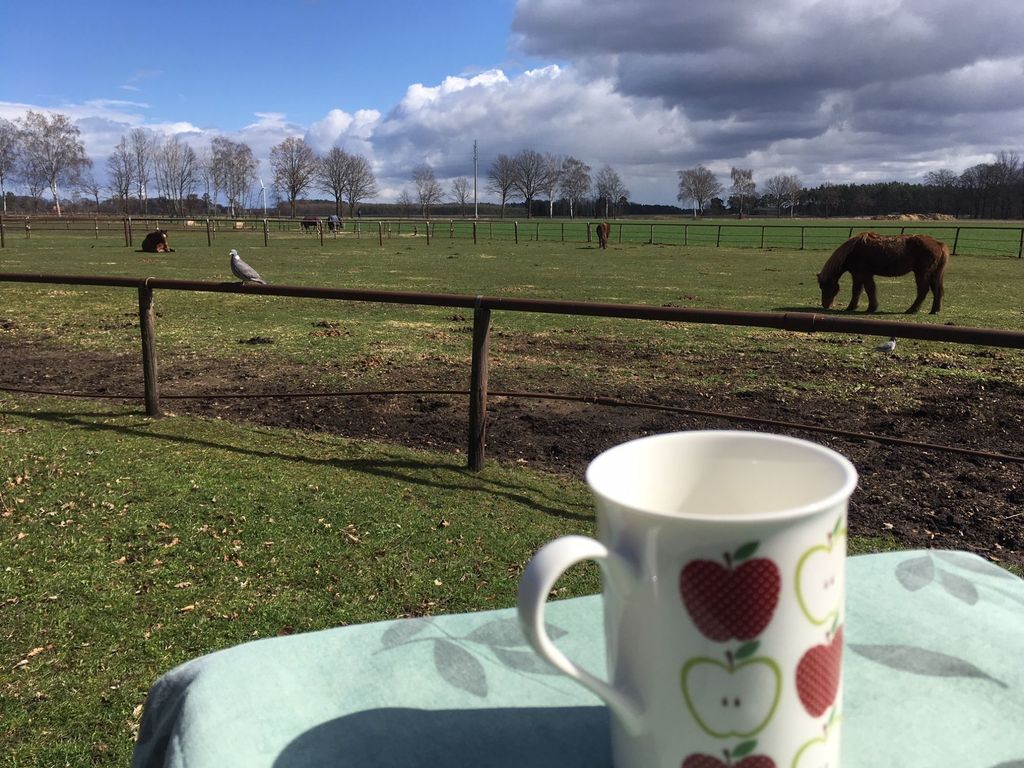 Campen und Reiten auf idyllischem Reiterhof