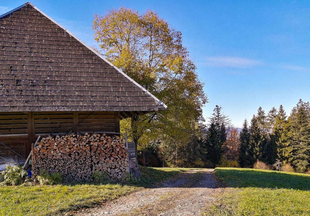 Exclusive experience around the barn