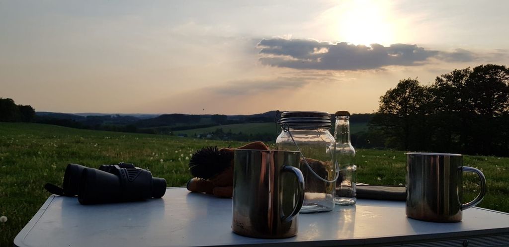 Parcela en el campo en una pequeña granja ecuestre ecológica