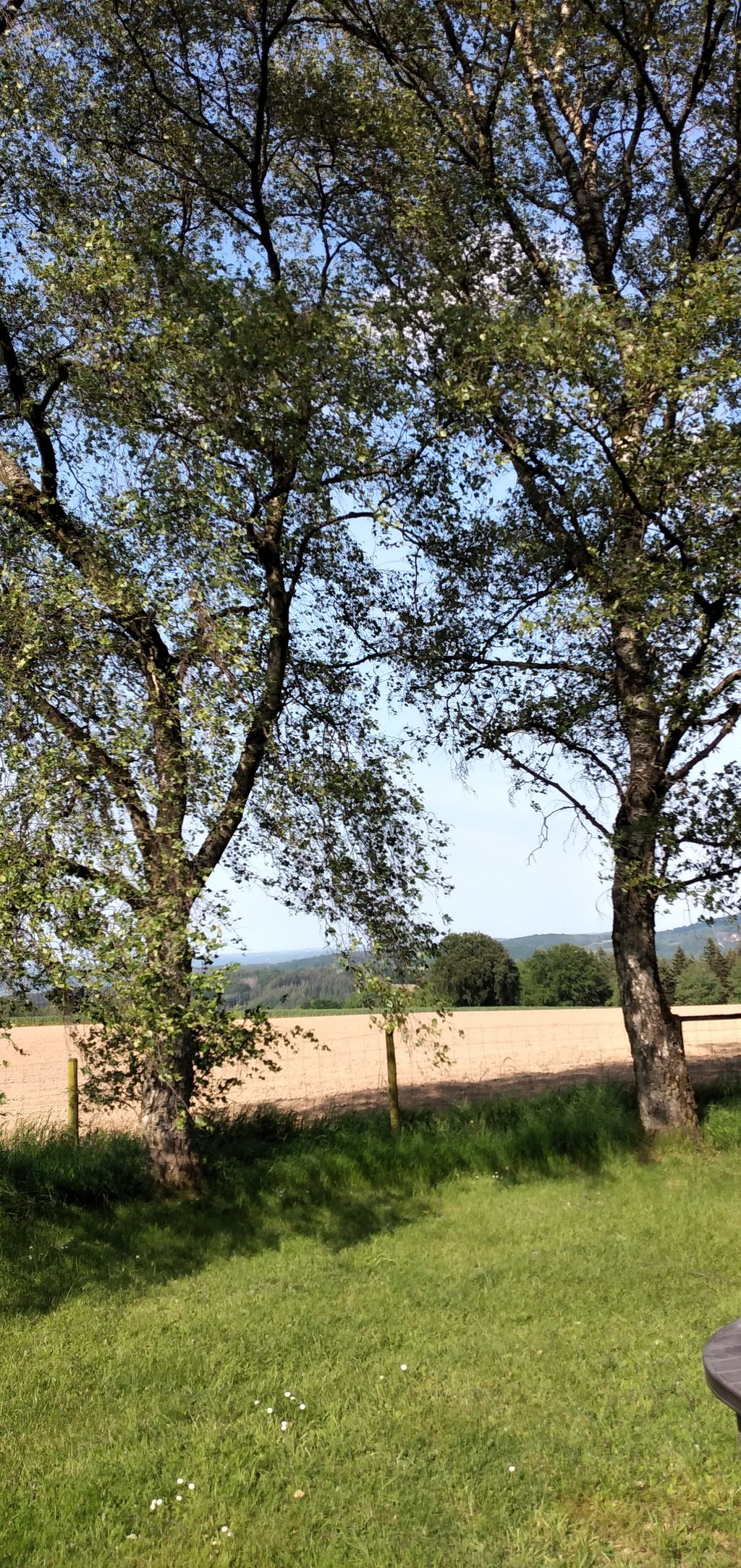 Ruhiger, schöner Platz in Waldnähe