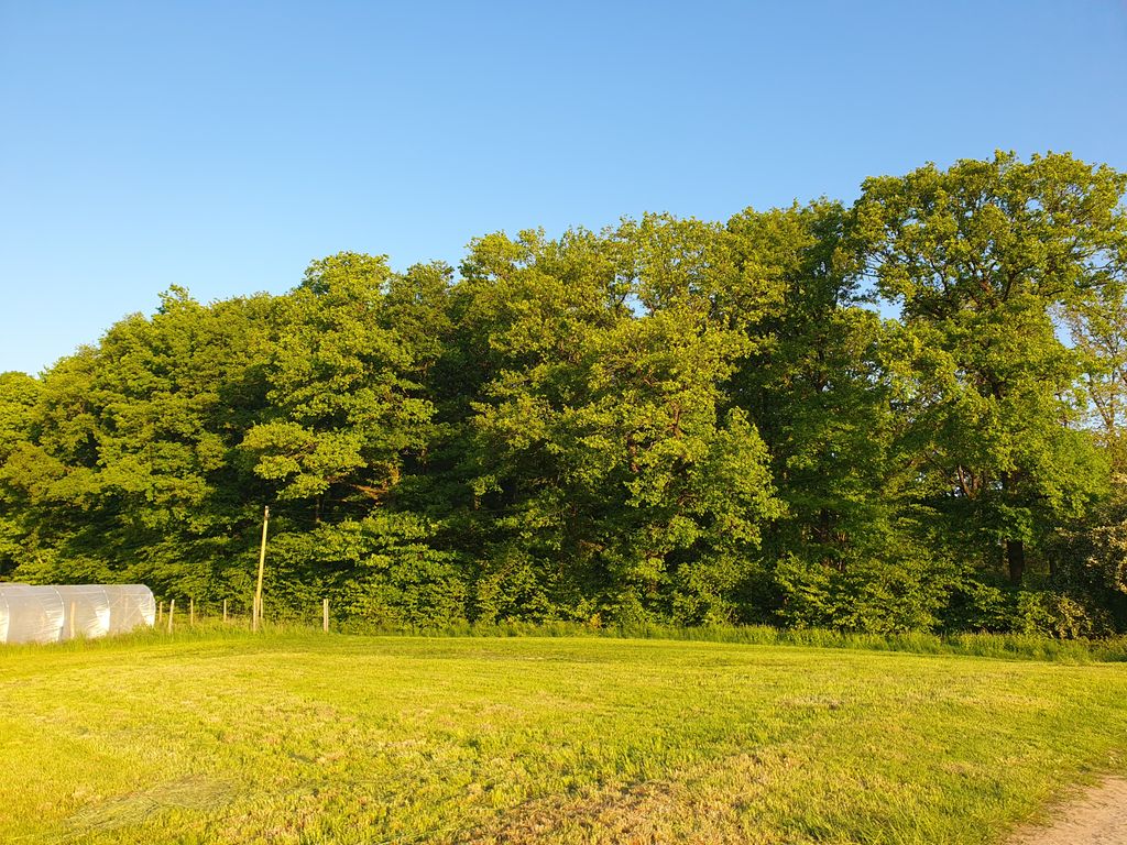 Natur pur – Stellplatz nahe Wald und Feld