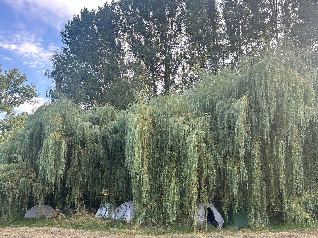 ¡Un castillo renacentista y una naturaleza salvajemente romántica! 