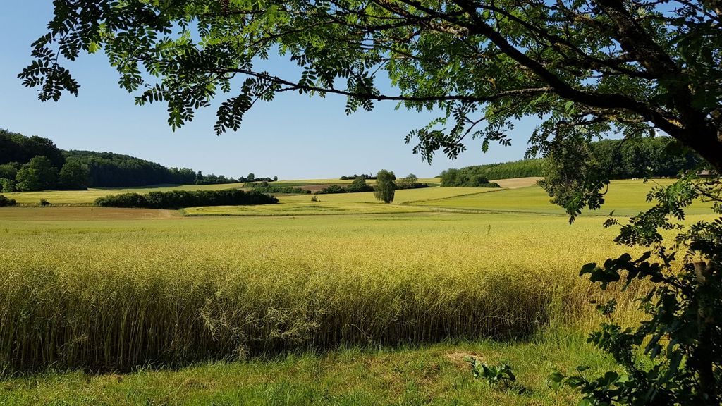 Campeggio nella foresta della Svizzera francese