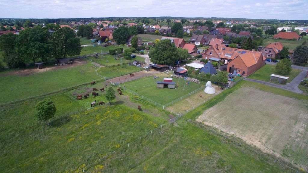 Poitou-Esel Stellplatz am Steinhuder-Meer