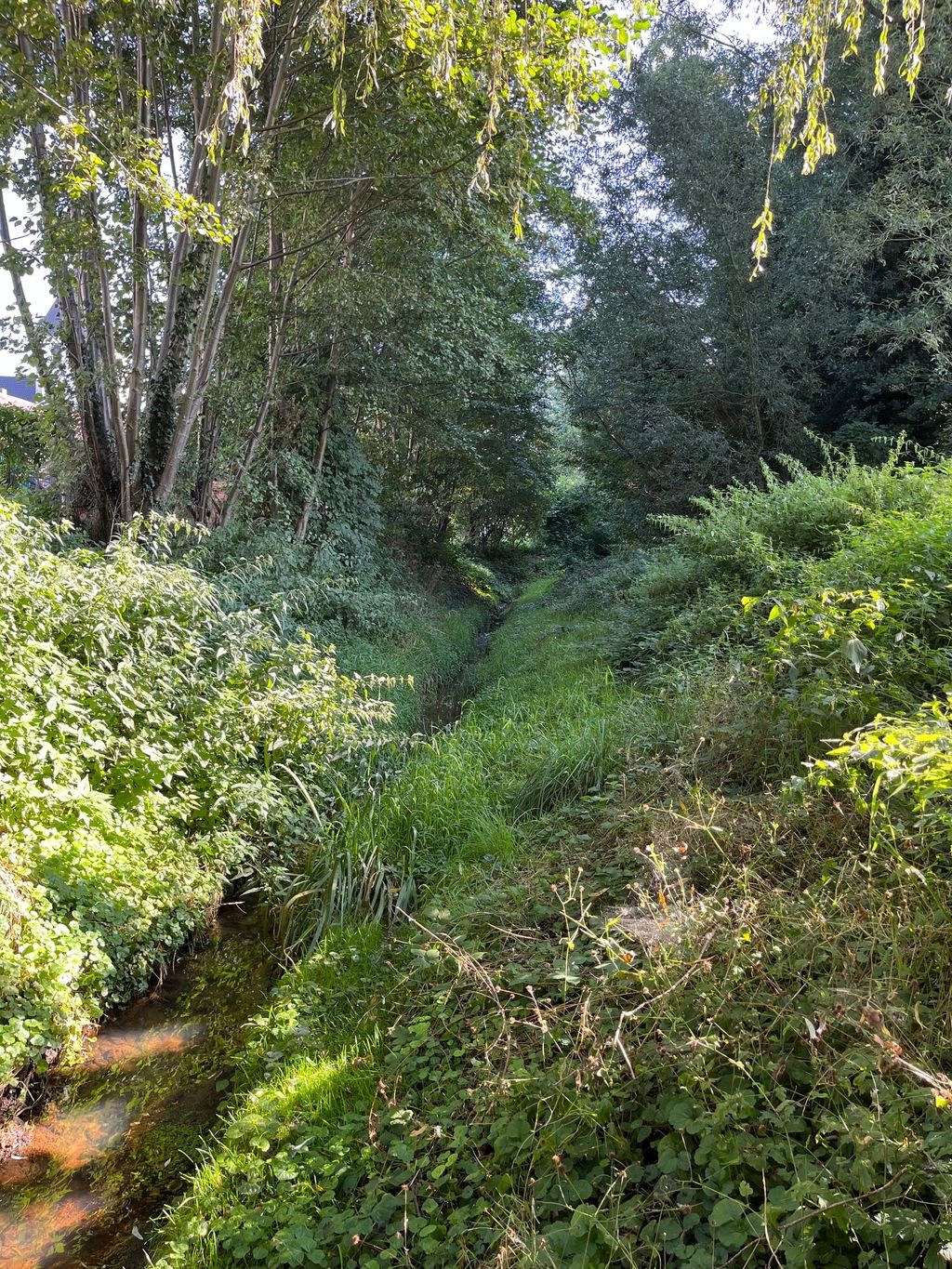 Wiesenstellplatz am Bachlauf im Delbrücker Land